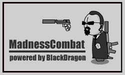 =o= the madness combat =o= 