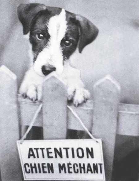 =o= marche ou cr&eacute;ve lolll =o=