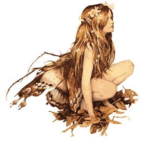 =o= de la part de  la charmante dame