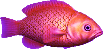=o= poisson free hohoho =o=